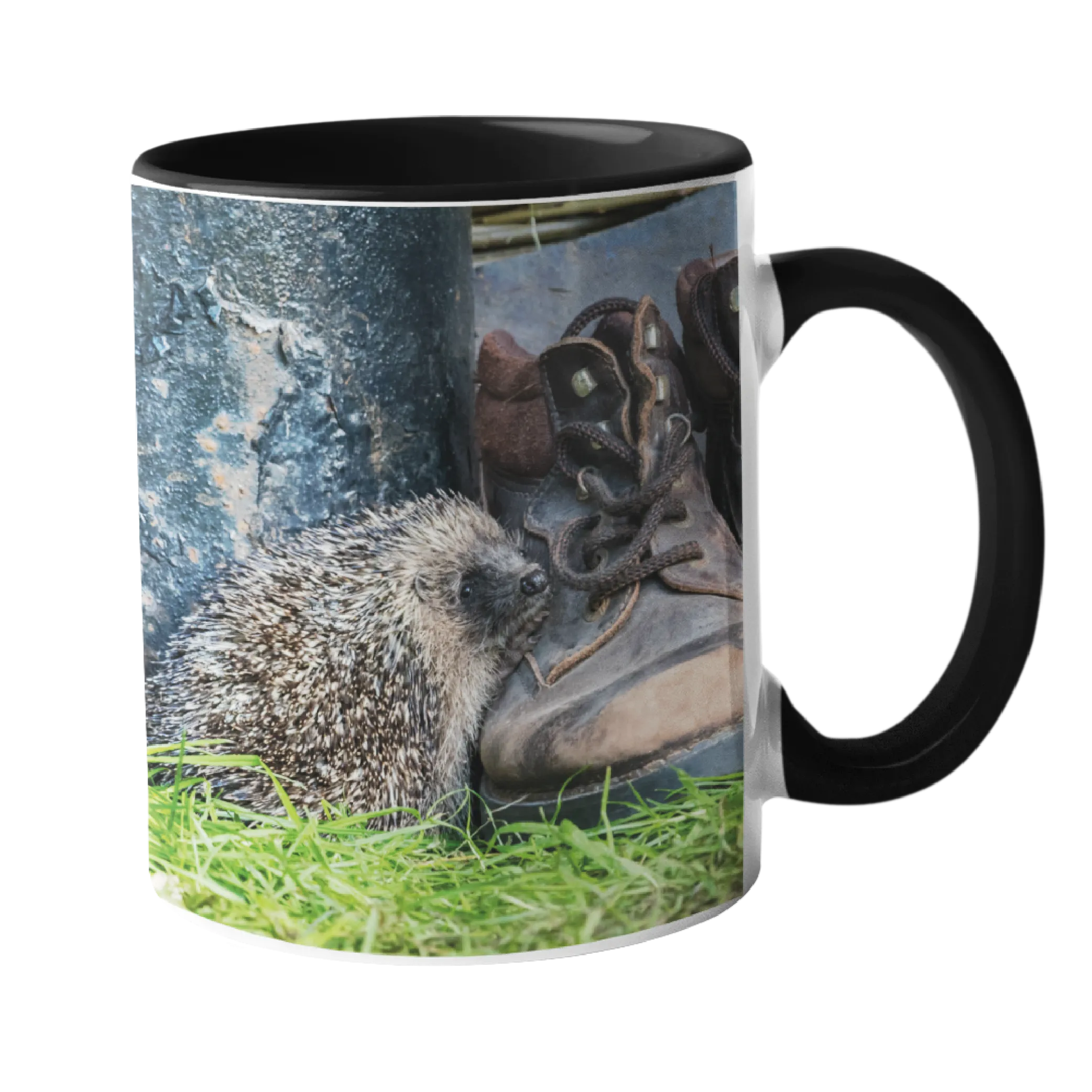 Hedgehog And Old Boots Mug