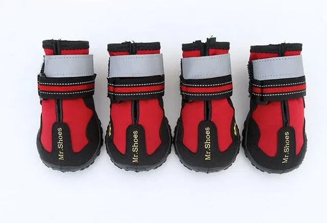 Hiking Shoes