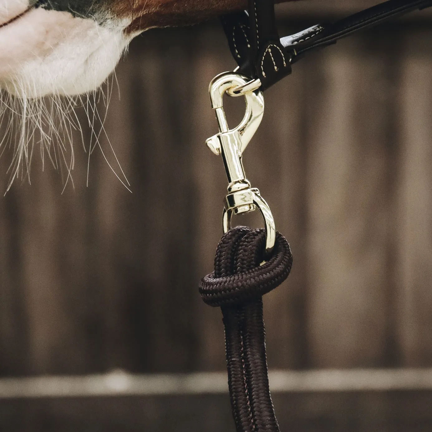 Kentucky Horsewear Lead Rope Loop - Black