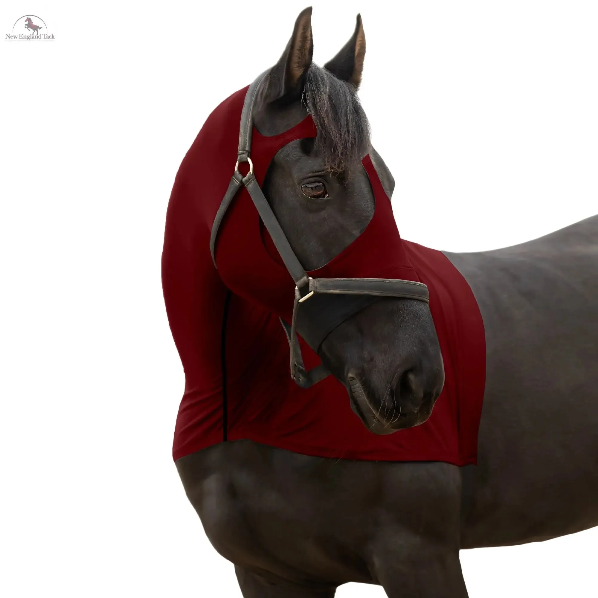 RESISTANCE Premium Horse Hood Full Zipper with Face w Forelock Saver - Lycra Material