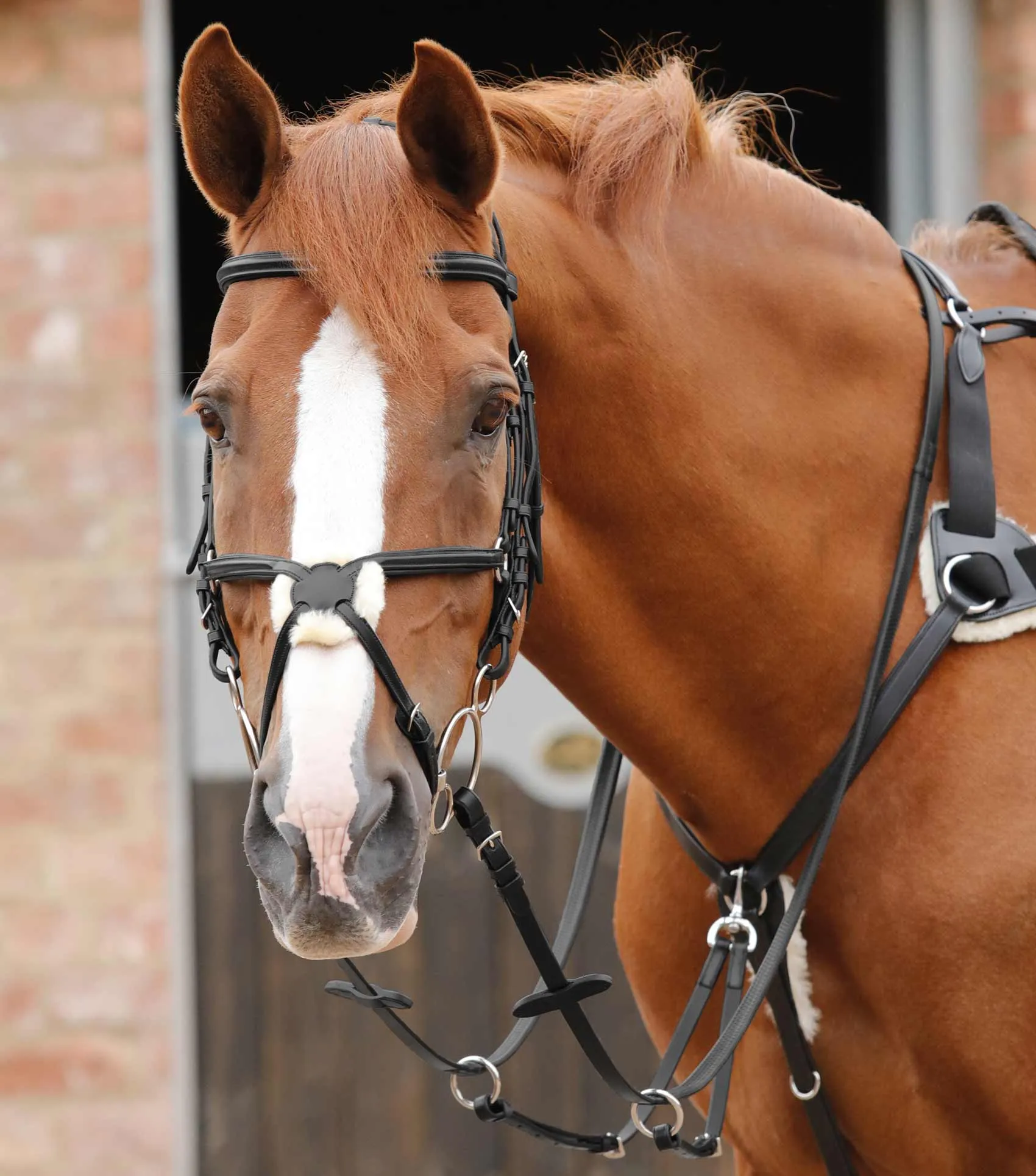Stefano Rubber Reins Black