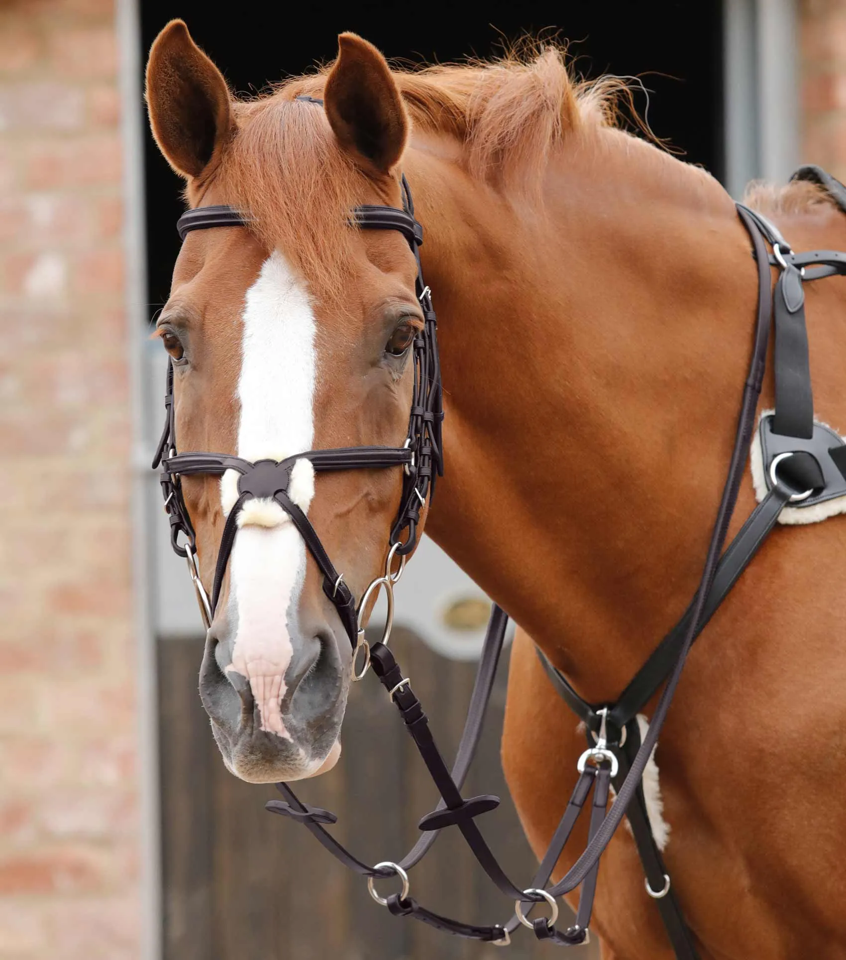Stefano Rubber Reins Brown